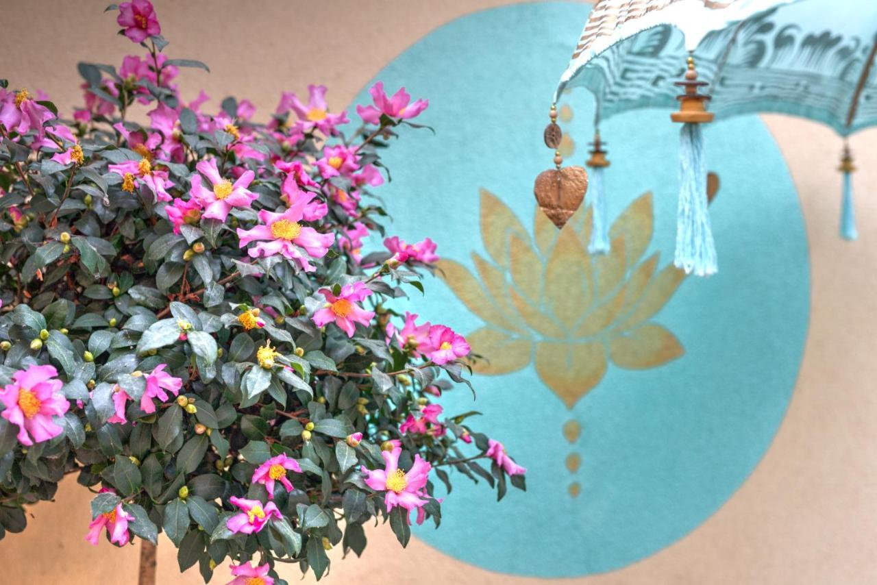 Lotus Apartment Szentendre Zewnętrze zdjęcie